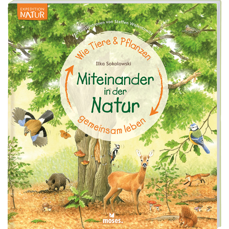 Miteinander in der Natur – Wie Tiere und Pflanzen gemeinsam leben