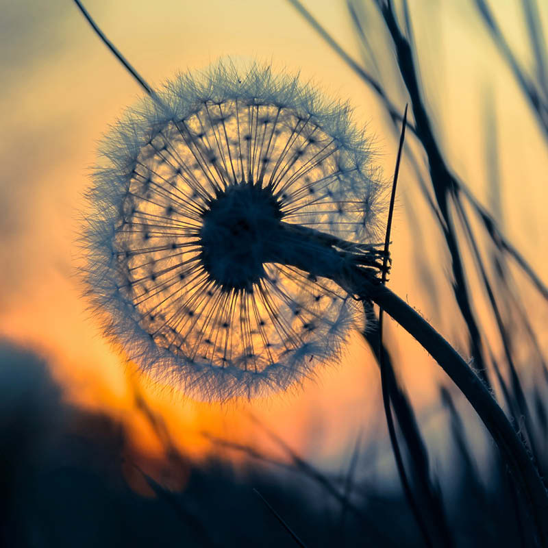 Alles geregelt 2026 Alles geregelt 2026